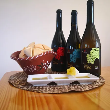 Casa Do Tio Joao * Seia