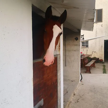 Feriehus Casa Do Tio Joao