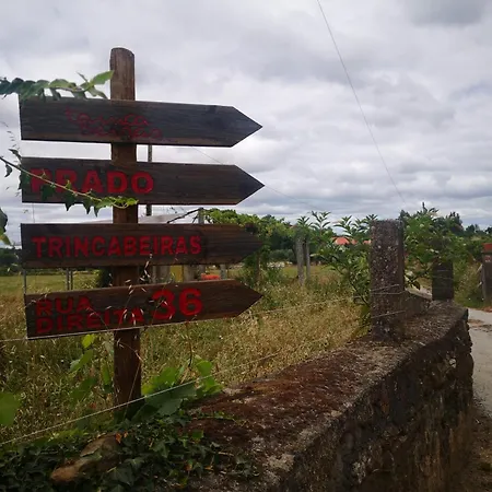 Feriehus Casa Do Tio Joao *