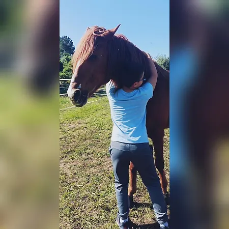 Feriehus Casa Do Tio Joao