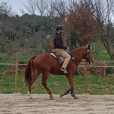 Feriehus Casa Do Tio Joao