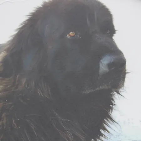 Casa Do Tio Joao * Seia