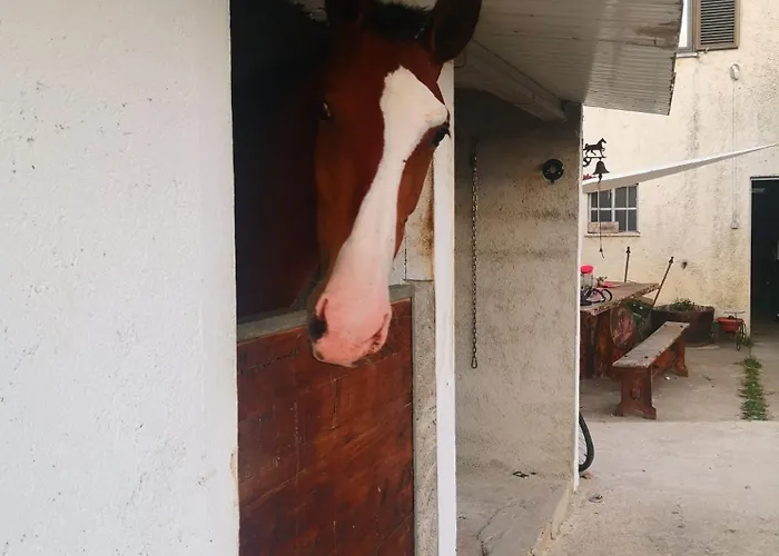 Casa de Férias Casa Do Tio João