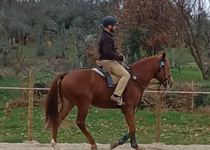 Casa de Férias Casa Do Tio João