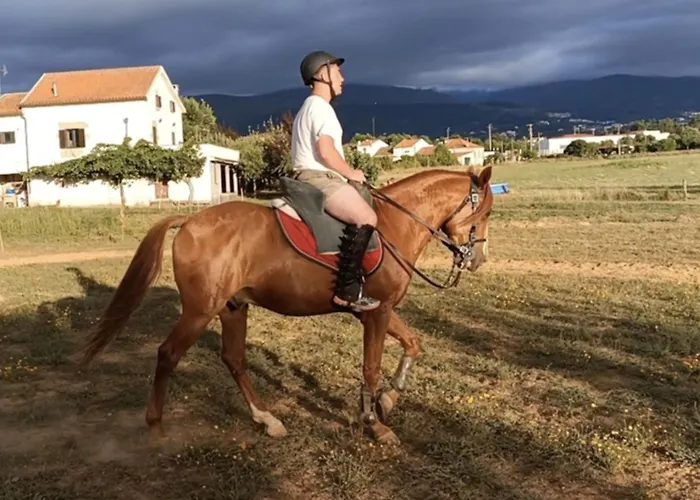 Casa de Férias Casa Do Tio João *