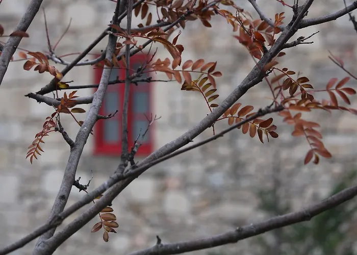 Casa Do Tio João Casa de Férias *