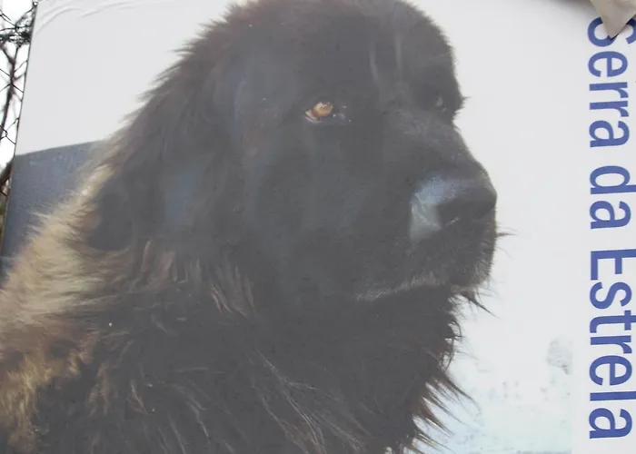 Casa Do Tio João * Seia